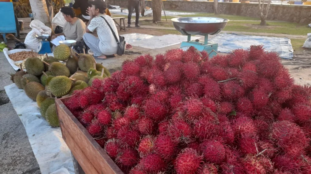 BUAH TROPIS: Buah rambutan salah satu buah yang sangat familiar bagi masyarakat Indonesia, siapa sangka buah ini banyak manfaat kesehatan bagi tubuh.