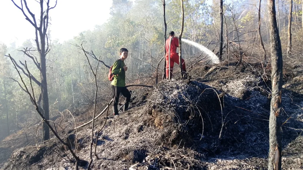 GERAK CEPAT: Tim Brigdal Karhutla Unit Pelaksana Teknis Daerah (UPTD) Kesatuan Pengelolaan Hutan (KPH) Kota Tarakan dibantu Korlakar wilayah timur, kepolisian dengan cepat menangani kebakaran kawasan Hutan Kota Sungai Batu Mapan, butuh waktu 4 jam untuk berhasil memadamkan api, Minggu (18/2/2024)