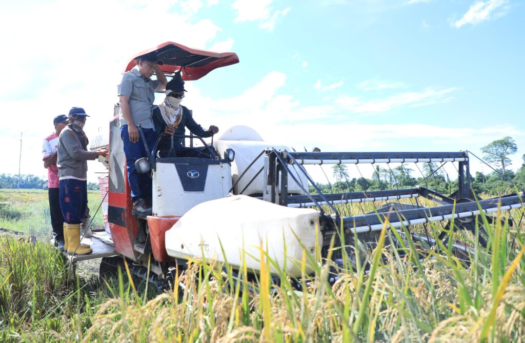 PANEN PADI: Bupati Bulungan ikut mengendarai mesin pemanen padi combine harvester saat acara syukuran panen di Kecamatan Sajau Hilir.
