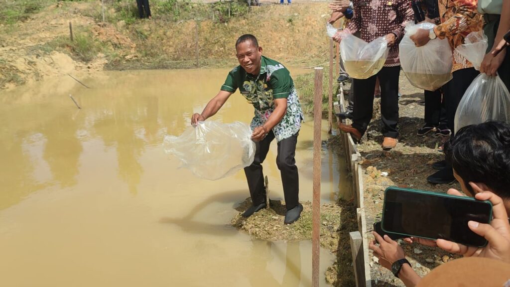 TEBAR BENIH: Bupati Bulungan saat menebar benih ikan di kolam air tawar beberapa waktu lalu.