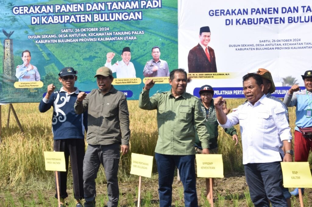 PANEN PADI: Asisten Pemerintahan dan Kesejahteraan Rakyat, H Jamal, SH, MAP, Kepala Dinas Pertanian serta jajaran Pemkab melaksanakan gerakan panen dan tanam padi dalam rangka pelaksanaan program perluasan area tanam padi di lahan kelompok tani Sadar Karya Desa Antutan, Kecamatan Tanjung Palas, Sabtu (26/10).