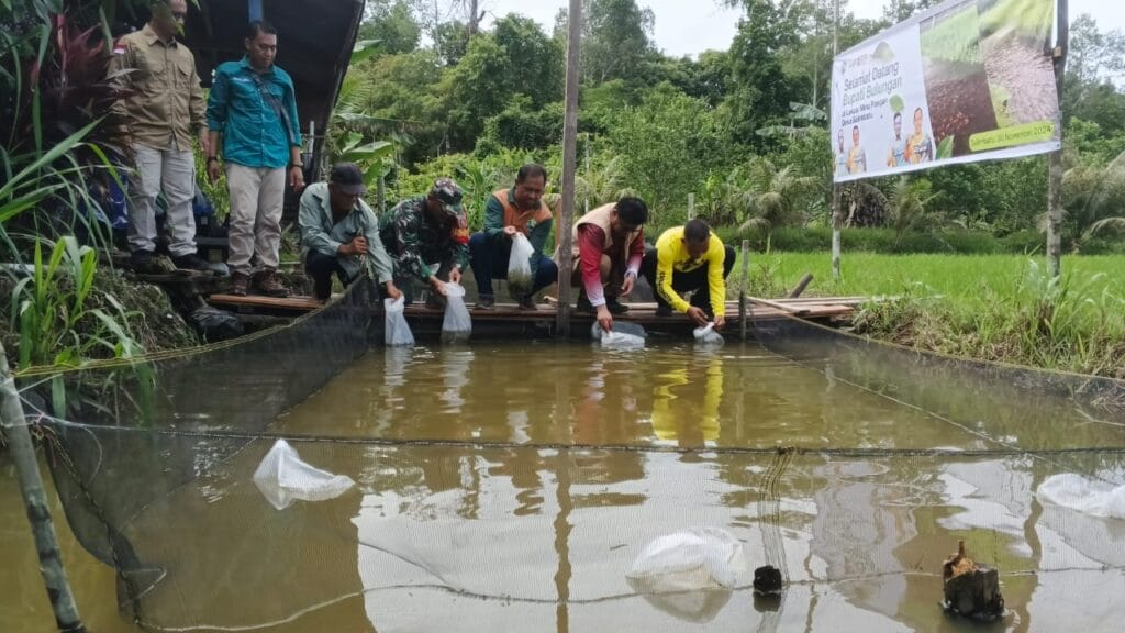 TEBAR BENIH IKAN: Bupati Bulungan Syarwani, pimpinan perangkat daerah serta stakeholder terkait menebarkan 3 ribu benih Ikan Mas di Salah Satu kolam kelompok tani di Desa Salimbatu.