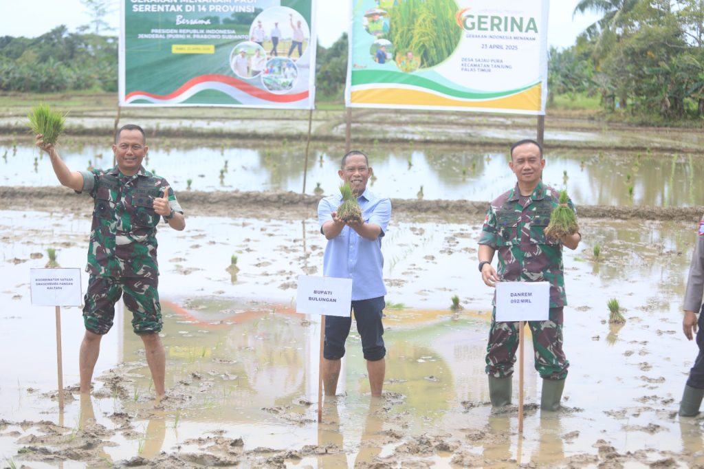 TANAM PADI: Bupati Bulungan Syarwani, S.Pd.M.Si bersama TNI melakukan kegiatan tanam padi serentak secara nasional yang dibuka langsung oleh Presiden Prabowo Subianto secara virtual di wilayah Sajau Hilir.