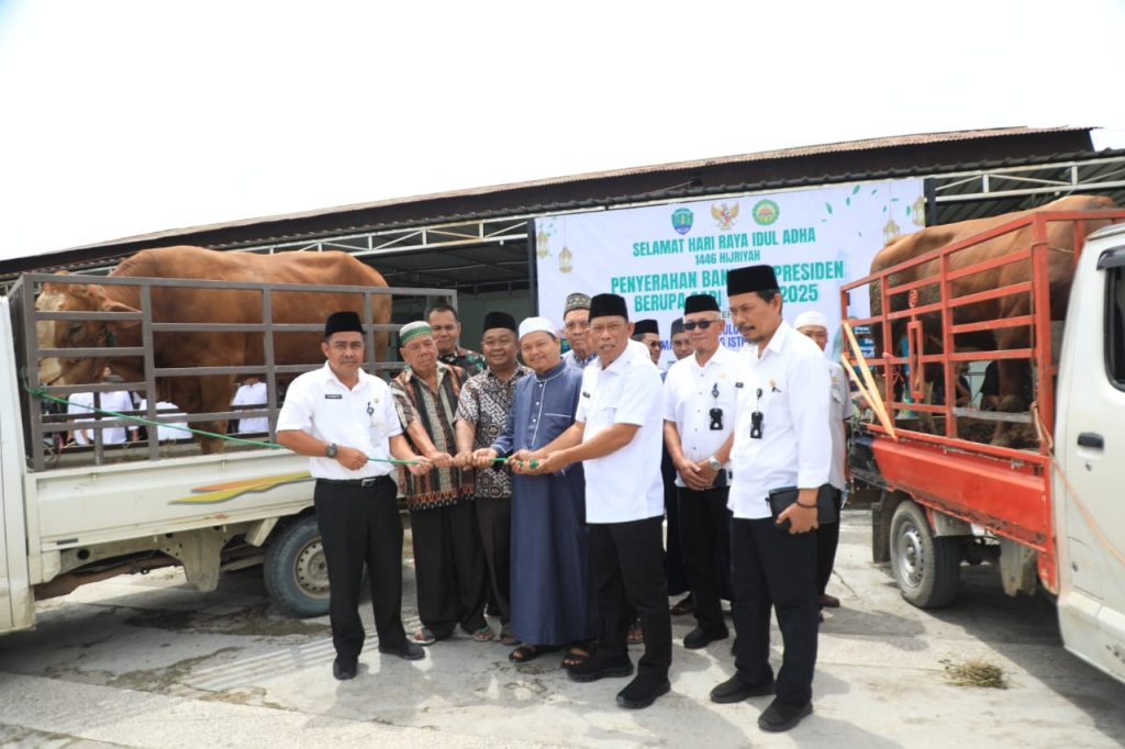 SAPI KURBAN: Bupati Bulungan Syarwani secara simbolis menyerahkan bantuan 2 ekor sapi kurban dari Presiden Republik Indonesia pada pengurus Masjid Agung Istiqomah Tanjung Selor, Rabu (4/6/25)