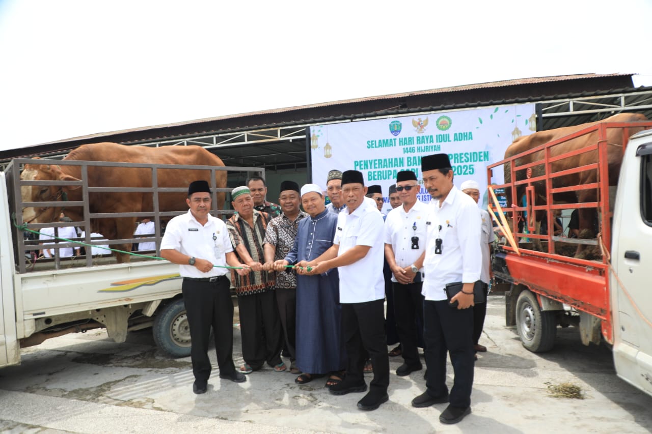 SAPI KURBAN: Bupati Bulungan Syarwani secara simbolis menyerahkan bantuan 2 ekor sapi kurban dari Presiden Republik Indonesia pada pengurus Masjid Agung Istiqomah Tanjung Selor, Rabu (4/6/25)
